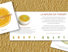Product Brochure Design